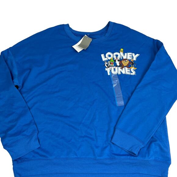 Looney Tunes Women's Blue That's All Folks Graphic Sweatshirt - Size Large - NWT - Picture 1 of 7
